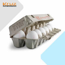 ʳƷ������