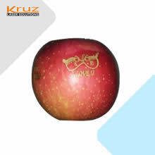 ʳƷ������